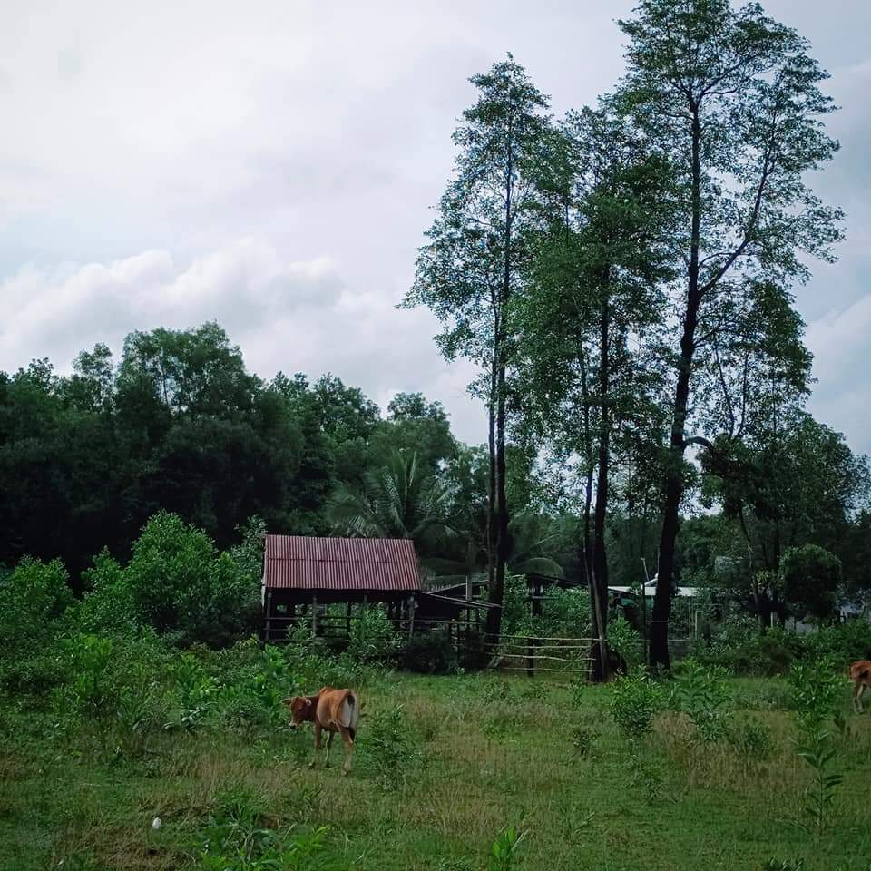 HALA LẠC Ở ĐẢO