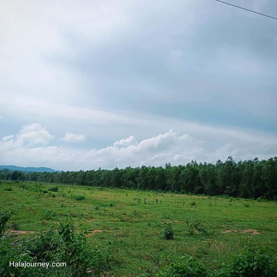 HALA LẠC Ở ĐẢO