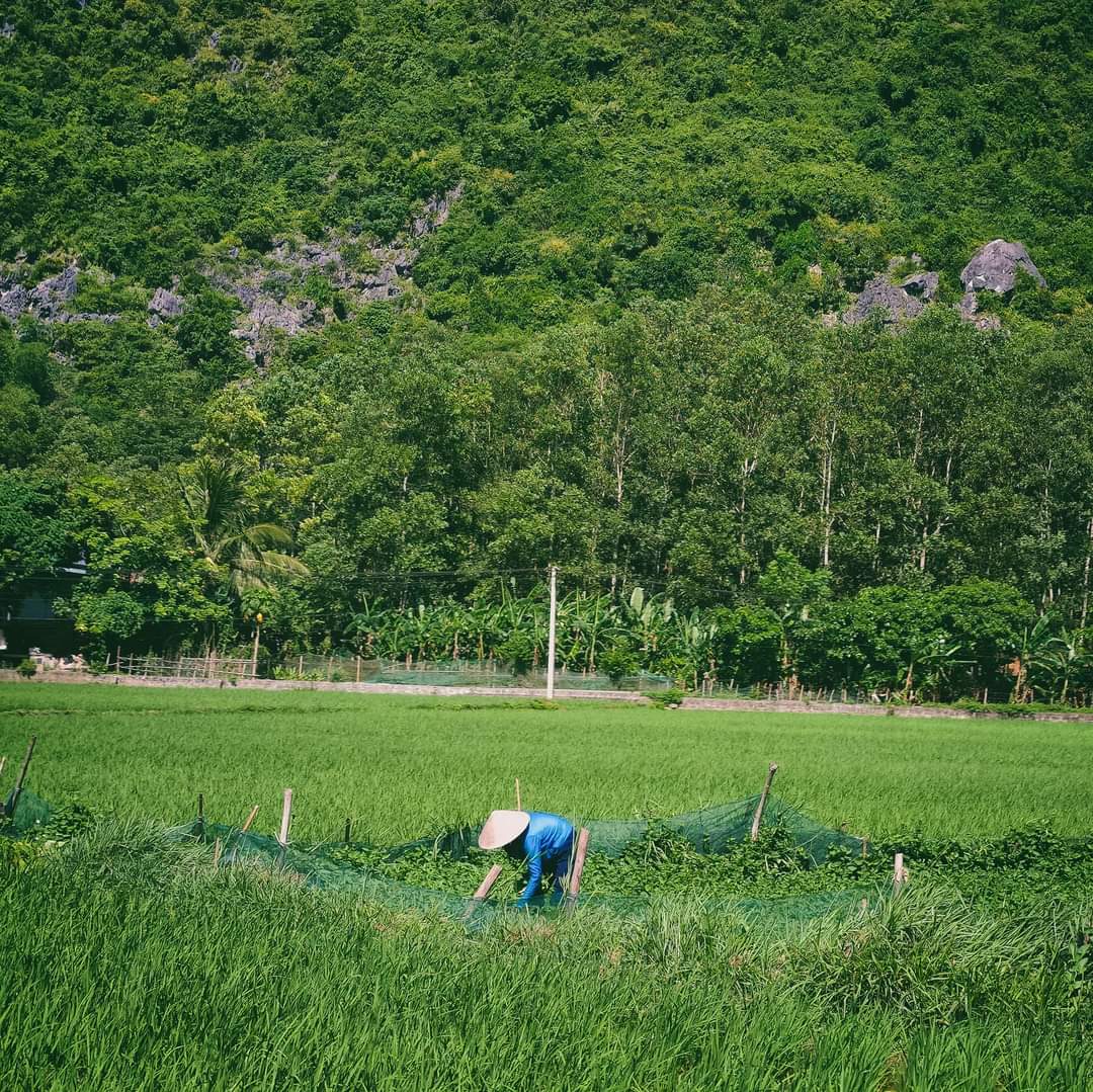 GẶP LẠI NHỎ TẠI BẾN EN